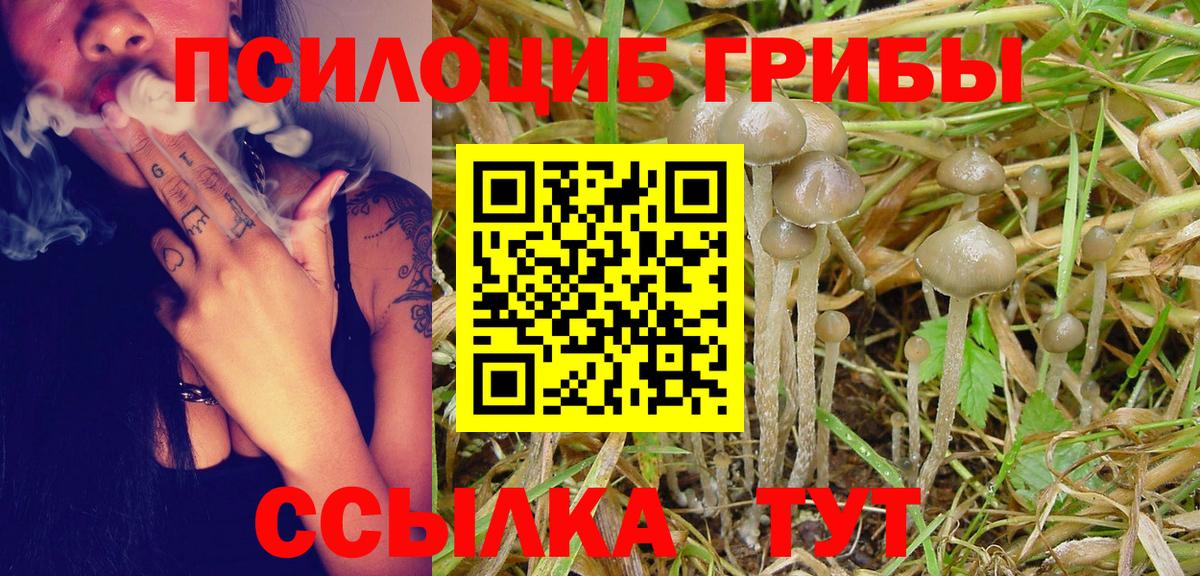 Владивосток  как найти закладки  Вход с VPN  Галлюциногенные грибы Cubensis 